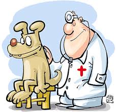 Resultado de imagem para dia do médico veterinário