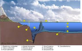 Resultado de imagen para relieve submarino