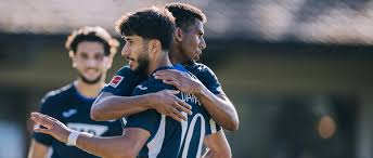 TSG Hoffenheim - News update
