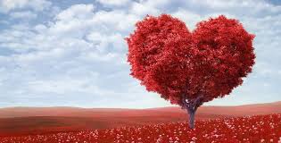 Image result for ‫عشق‬&lrm;