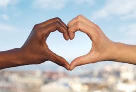 Image result for xenophobia