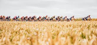 Rouleur - News update