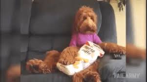 Image result for people on trains eating crisps