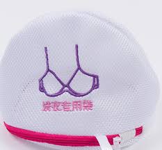 Résultat de recherche d'images pour "shoe bag washing machine"