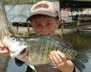 Reelfoot lake crappie fishing