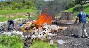 Más de 400 kilos de droga terminan en el fuego tras 52 investigaciones