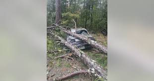 Utility crews respond to Georgia power outages after Storm Isaias