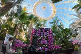 Adults only Orchid Nights in NYC kick off this week