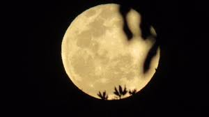 Qual a fase da Lua hoje (7)? Veja calendário lunar de fevereiro de 2026