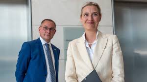 BILD - News update
