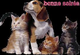 Résultat de recherche d'images pour "gif soirée"