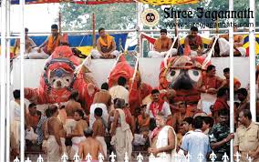 Image result for snana yatra of lord jagannath