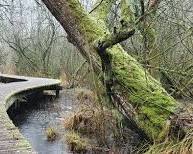 Afbeelding van Wandelen in Brabant