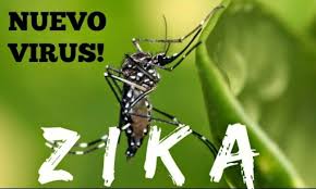 Image result for zika virus