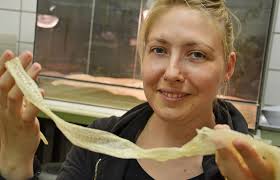 Marie-Christin Klein, Doktorandin an der Kieler Universität erforscht, ...