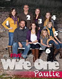 英和画像辞典：(wife (wives))の意味は画像で解説！見るだけで「wife (wives)」の意味が分かる・覚えられる 