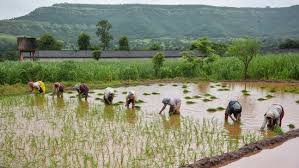 PM Kisan: 20वीं किस्त कब आएगी? जानिए ताजा अपडेट्स! - Imagen principal del artículo