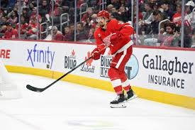 Ex-Red Wings, Griffins D-man signs with Washington