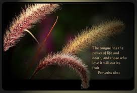 Image result for image quotes on the power of the tongue