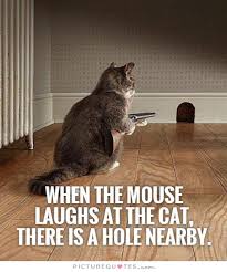 Mouse Quotes | Mouse Sayings | Mouse Picture Quotes via Relatably.com