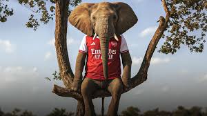 مان سيتي ضد آرسنال