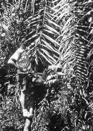 Image result for kpelle people