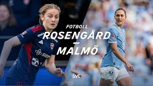SVT Nyheter - News update