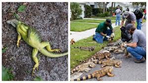 News source: ladepeche.fr