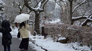 News source: 岐阜新聞デジタル