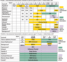 英和画像辞典：(date and schedule)に関する画像です。見るだけで「date and schedule」の意味が分かる・覚えられる 