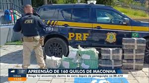 160 quilos de maconha foram apreendidos na BR-470
