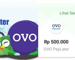 Image of Logo OVO Paylater Pinjol