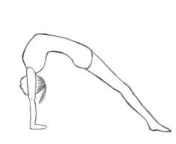 Image result for perfect bridge hand