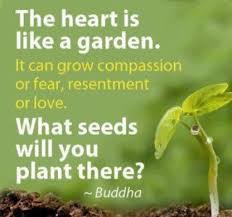 Buddhist Quotes Compassion. QuotesGram via Relatably.com