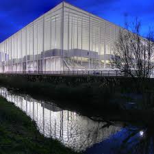 football club des girondins de bordeaux