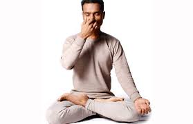 Image result for anulom vilom pranayama