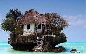 Image result for ‫عکس های جالب از طبیعت‬‎