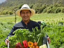 La Prensa Ecuador - News update