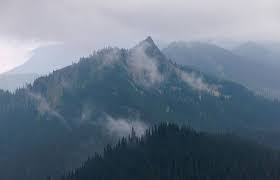 Hearing thunder? Here's what comes next for Seattle