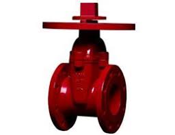 NRS Gate Valve Types and Prices | Duyar