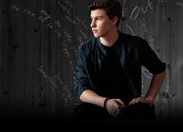 Resultado de imagem para shawn mendes