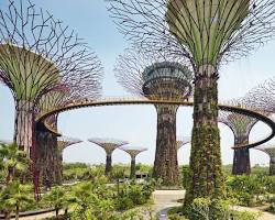 Gardens by the Bay, Singapore