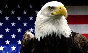 Image result for eagle american symbol