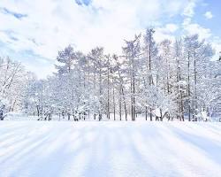 雪景色の画像