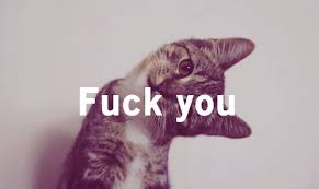 R&eacute;sultat de recherche d'images pour 