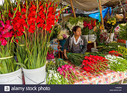 Image result for zapotec woman