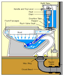 Adjust Toilet Bowl Water Level Kohler