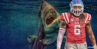 images?q=tbn:ANd9GcTvdbbZIU23EvuE1FtRpBP