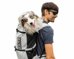 dog backpackの画像