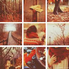 Znalezione obrazy dla zapytania AUTUMN TUMBLR